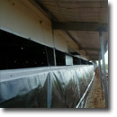 chicken shed window curtain